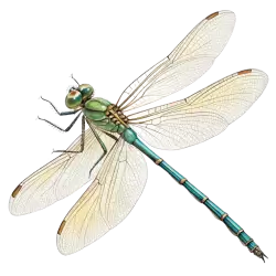 Imagen PNG para descargar